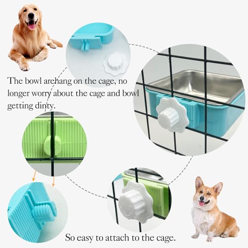Crate Dog Bowl (2 PCS / Small Square (Blue, Green))