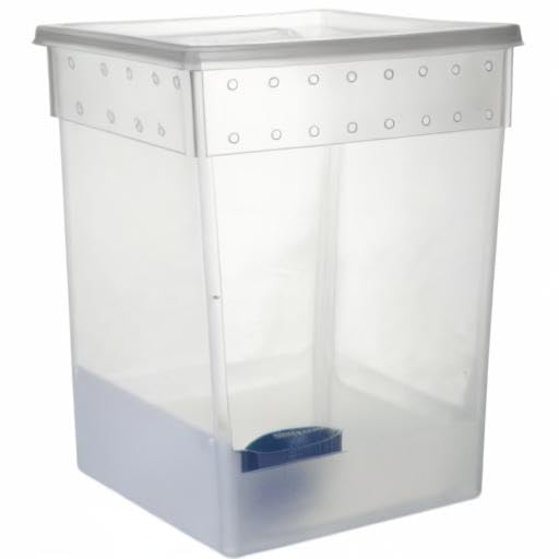 Portable Reptile Terrarium Habitat for Mini Pet Houses Breathable Holes Stackable Container (1PCS-Clear-Extra H)