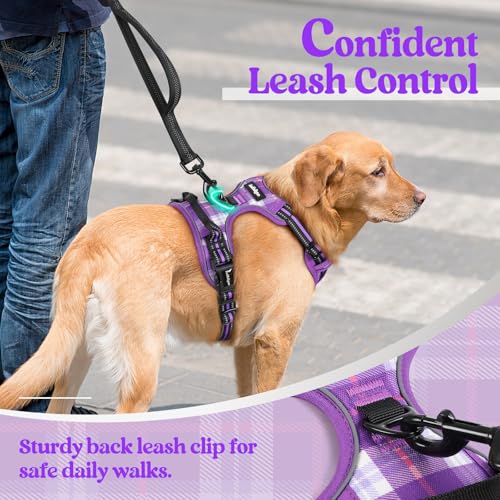 Dog Harness No Pull for Small Dogs with 2 Leash Clips (Small / Purple Plaid)