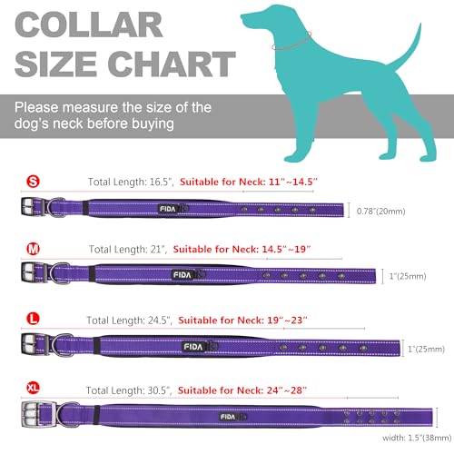 Padded Dog Collar for Small Dogs with Metal Belt Buckle (Small(11”-14.5“) / Purple)