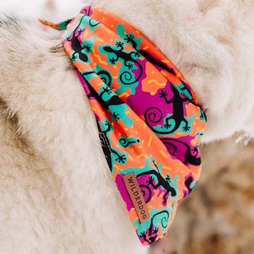 Dog Bandana with Lightweight Quick Drying Poly (The Lizards)