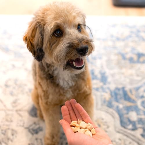 Freeze Dried Chicken Breast Treats for Dogs & Puppies (5.75 Ounce (Pack of 1))