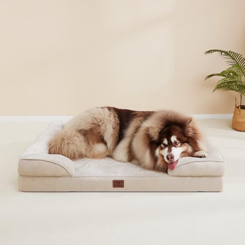 Orthopedic Dog Bed Medium Size Dog (Beige / 30.0"l X 20.0"w X 6.5"th)