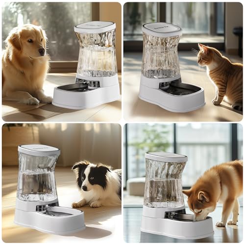 Automatic Dog Water Dispenser (White / 2.1 Gallon)