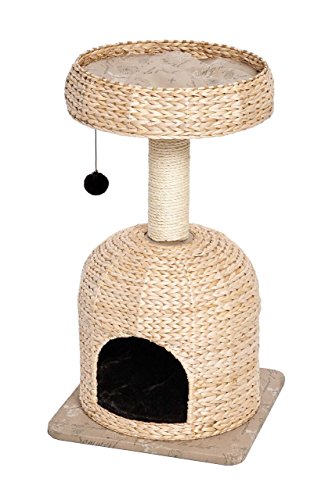 Cat Tree Scout Cat Furniture Cat Activity Tree w (Scout Woven Rattan/Script)