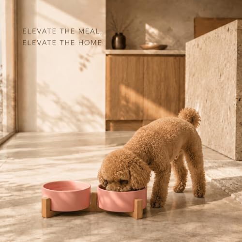 Ceramic Dog and Cat Bowl with Wood Stand Non (1.7 cups / Pink × 2)