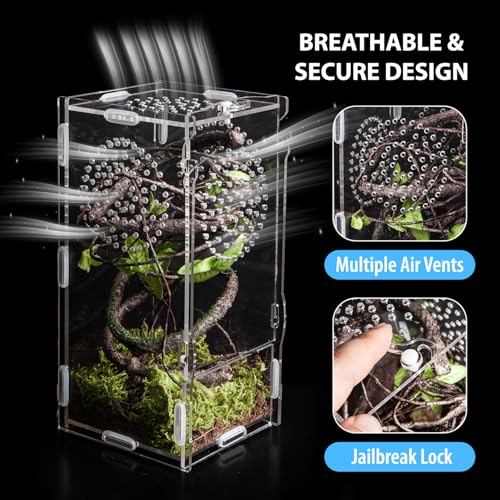 Jumping Spider Enclosure (Small-8''x4''x4'')