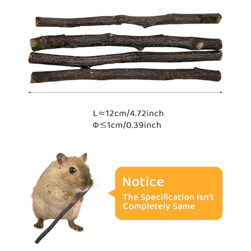 600g Apple Sticks Small Animals Wooden Pet Chew Treats Toys (1.32 Pound (Pack of 1))