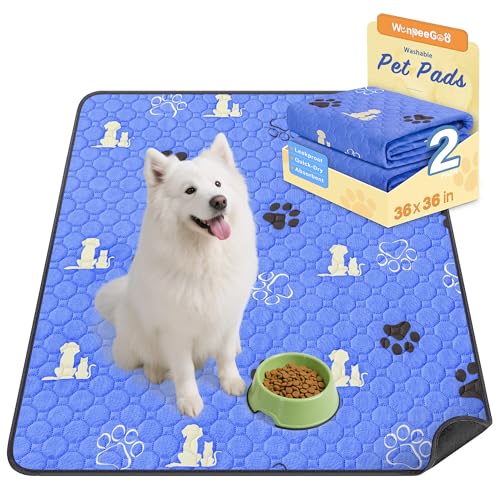 Washable Pee Pads for Dogs (Blue / 36"x36" (Pack of 2))