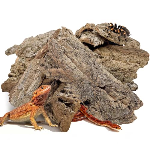 Reptile Cork Bark Bedding (0.7LB - L：4.72~7.87inch)