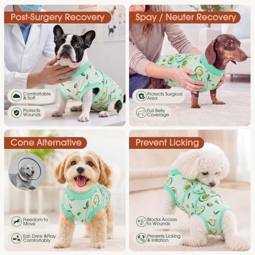 Recovery Suit for Dogs Cats (2x-large (Back:24.8-29.5'', Weight:70+ Lb) / Avocado Fresh)