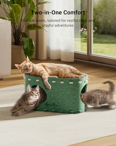 Cat House for Indoor Cats (Forest / Single)