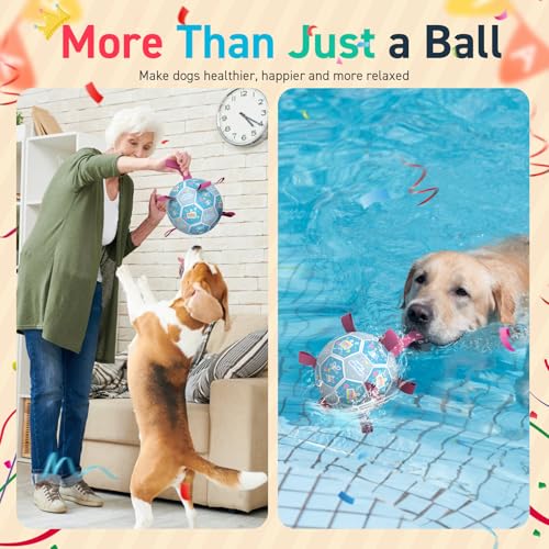 Dog Birthday Toys (Birthday Blue / Large Size 3 (8 Inch))