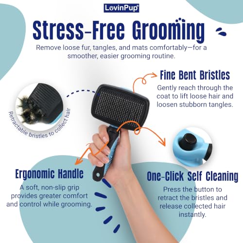 Pet Slicker Brush (Slicker Brush (Blue/Black))