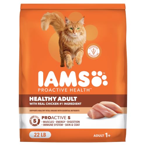Proactive Health Healthy Adult Dry Cat Food (22 Pound (Pack of 1))