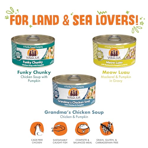 Wet Cat Food Pumpkin Patch Pack Variety Pack (3 Ounce (Pack of 12))