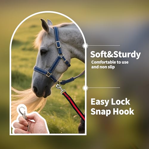Lunge Line for Horse (Black&Red&Black / 26ft/8m)