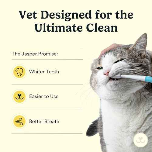 Microbrush Vet Approved Cat Toothbrush (Gray 2 Pack)
