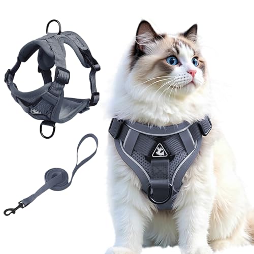 Cat Harness and Leash Set