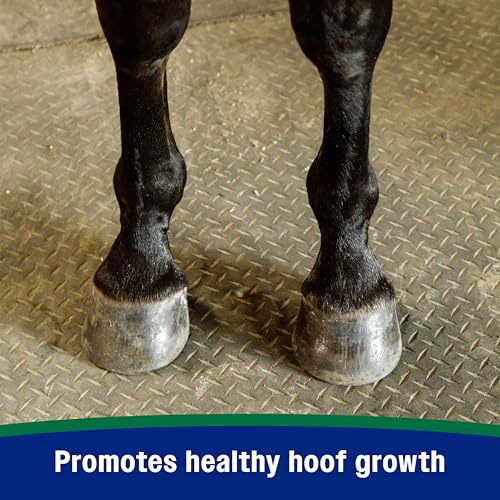 Horseshoer's Secret Pelleted Hoof & Biotin Supplements (Original formula / 22 pounds)