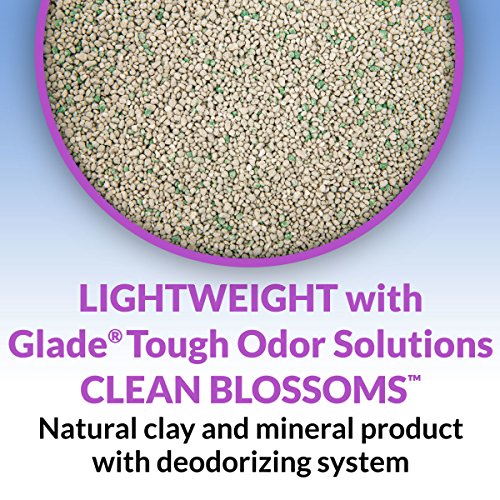 Light Weight Low Dust (6.00 Pound (Pack of 1) / Glade Clean Blossoms)
