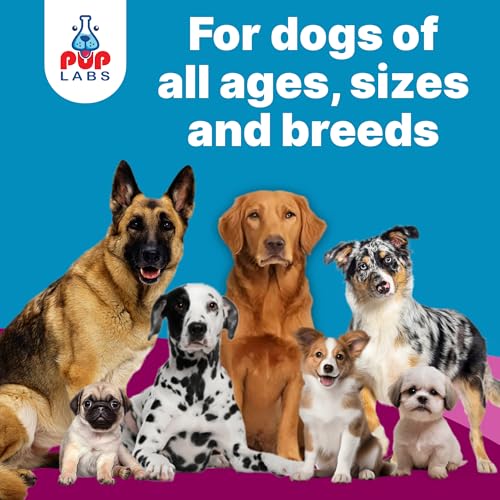 K9 Belly Bliss (3 Pack)