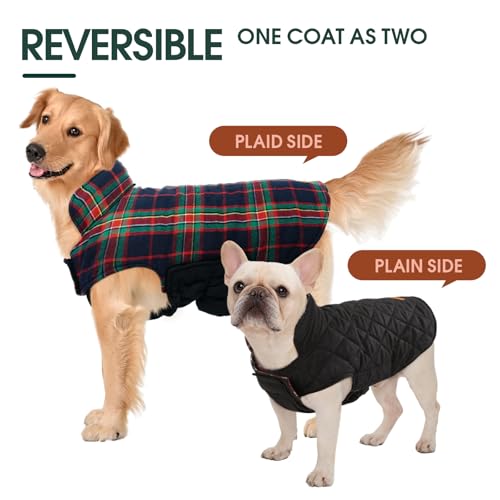 Waterproof Dog Coat (Royal Blue / 2X-Large (Pack of 1))