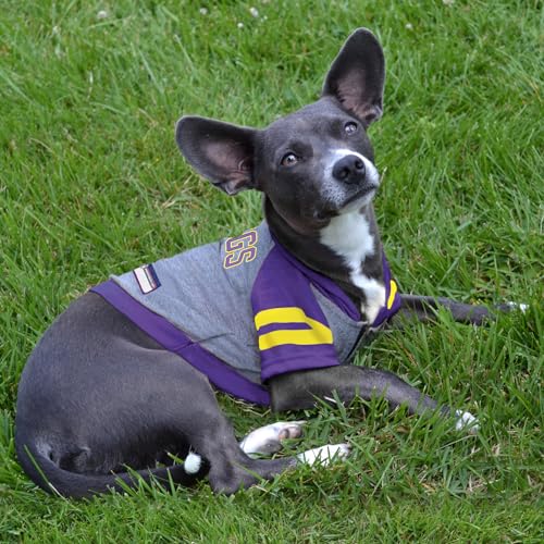 Minnesota Vikings Hoodie Tee Shirt (X-Small / Minnesota Vikings)