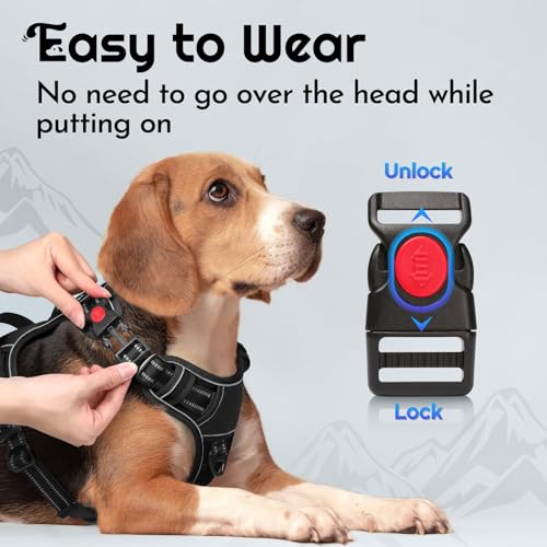Dog Harness No Pull for Small Dogs (Small / Black)