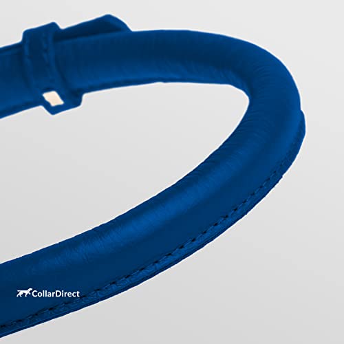 Tangle Free Rolled Leather Dog Collar (Deep Blue / L)