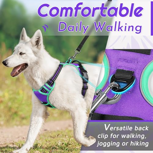 Dog Harness for Large Dogs (Large / Purple & Turquoise)
