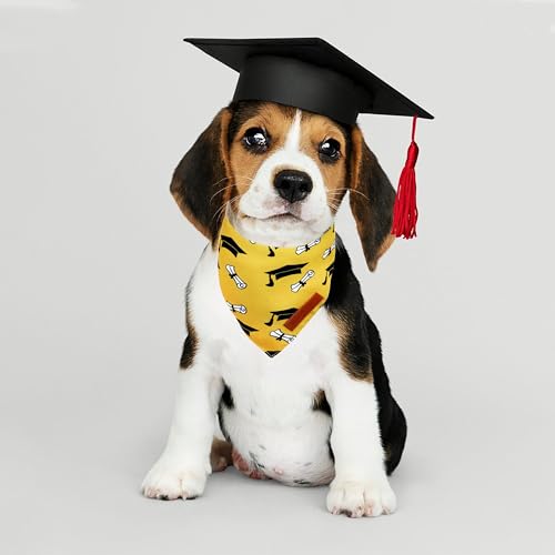Graduation Dog Bandanas 2 Pack (Graduation / Small)