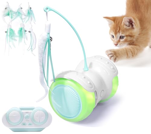 Remote Control Cat Toy with Auto Mode
