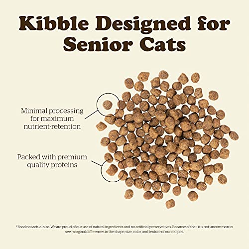 Senior Dry Cat Food (3 Pound (Pack of 1))