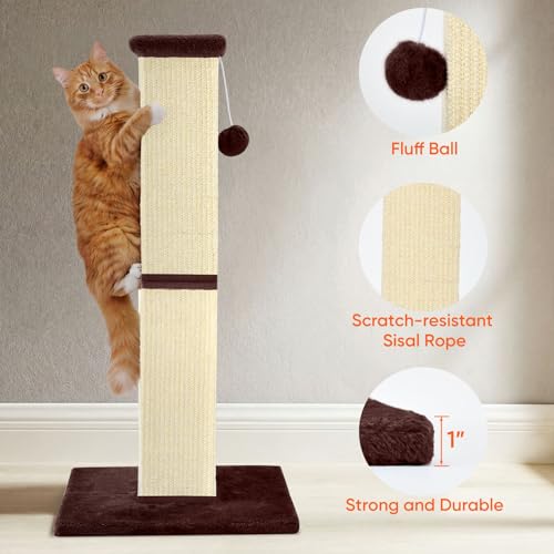 Cat Scratching Post for Indoor Cat (Beige)