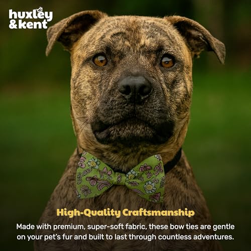 Pet Bow Tie for Dogs & Cats (Small)