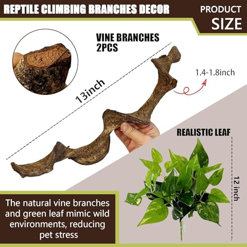 2PCS Natural Reptile Climbing Branches Decor (2PCS|M:1.25-1.75"T,13"H)