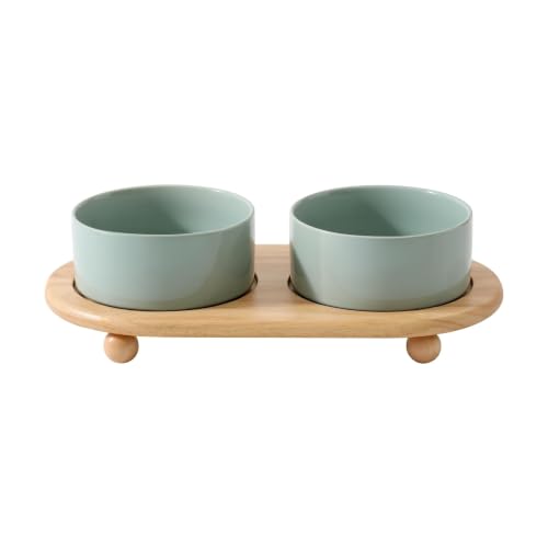 Raised Cat Bowl (Light Green)