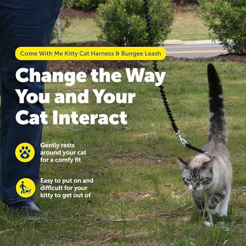 Come with Me Kitty Harness and Bungee Cat Leash (Medium (Pack of 1) / Royal Blue)