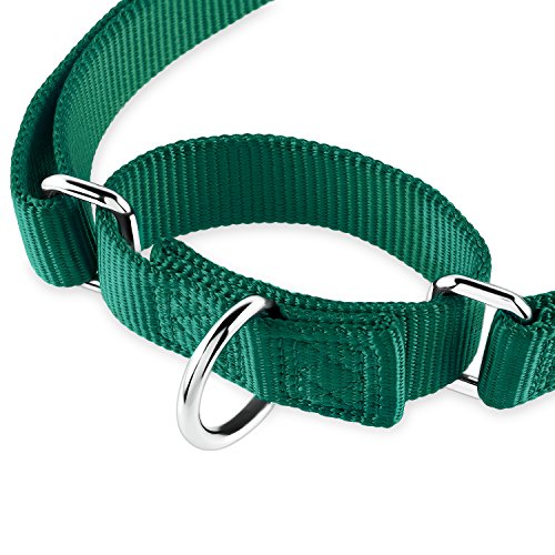 Martingale Dog Collars for Medium Dogs (Medium / Dark Green)