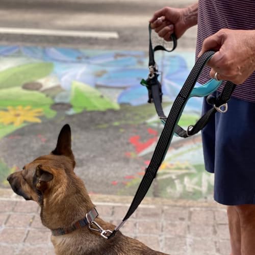 Dog Poop Bag Holder with Dispenser & Storage Pouch (Aqua)