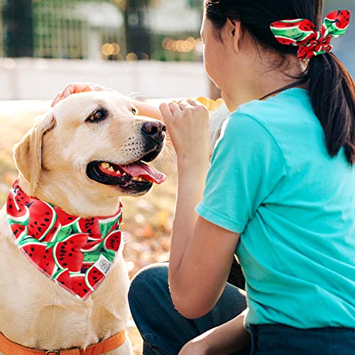 Summer Dog Bandanas Girl Matching Dog Bandana and Scrunchie Large (watermelon / Large-set of 1)