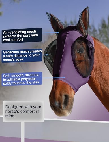 Horse Fly Mask with Ears (Deep Purple / Large)