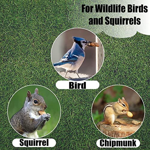Wildlife in Shell Peanuts for Birds (4 Pound (Pack of 1) / In-Shell)