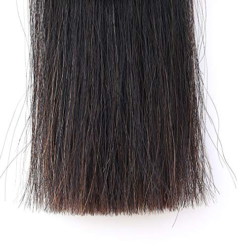 Horse Tail Extensions with Braided Horsehair Loop (1 Pound (34"-36") / Natural Black)