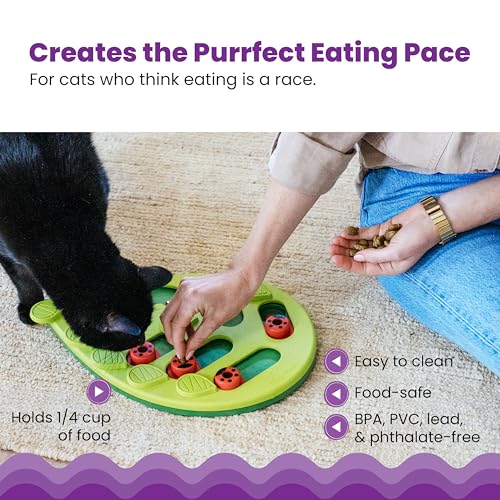 Nina Ottosson Buggin’ Out Puzzle & Play Cat Toy Treat Puzzle (Green / Treat Puzzle)