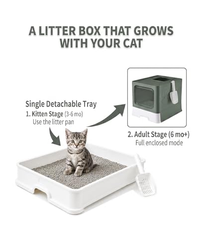 Cat Litter Box with X (Upgrade Olive Green)