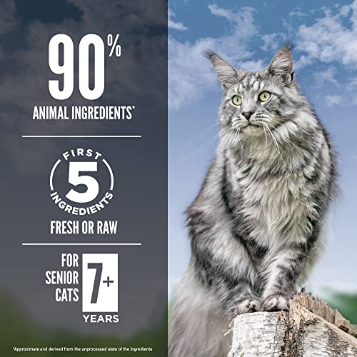 Guardian Senior Grain Free WHOLEPREY Dry Cat Food 10lb Bag (10 Pound (Pack of 1))