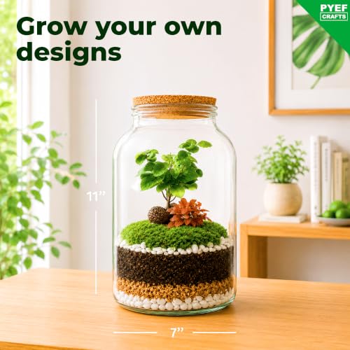 Terrarium Kit for Plants DIY (1 Gallon)