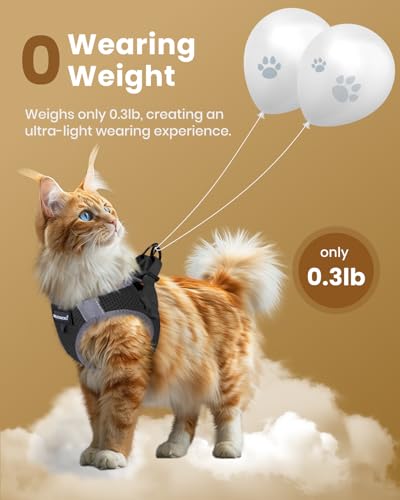 Cat Harness XL (Black / XL(Chest 14-16"))